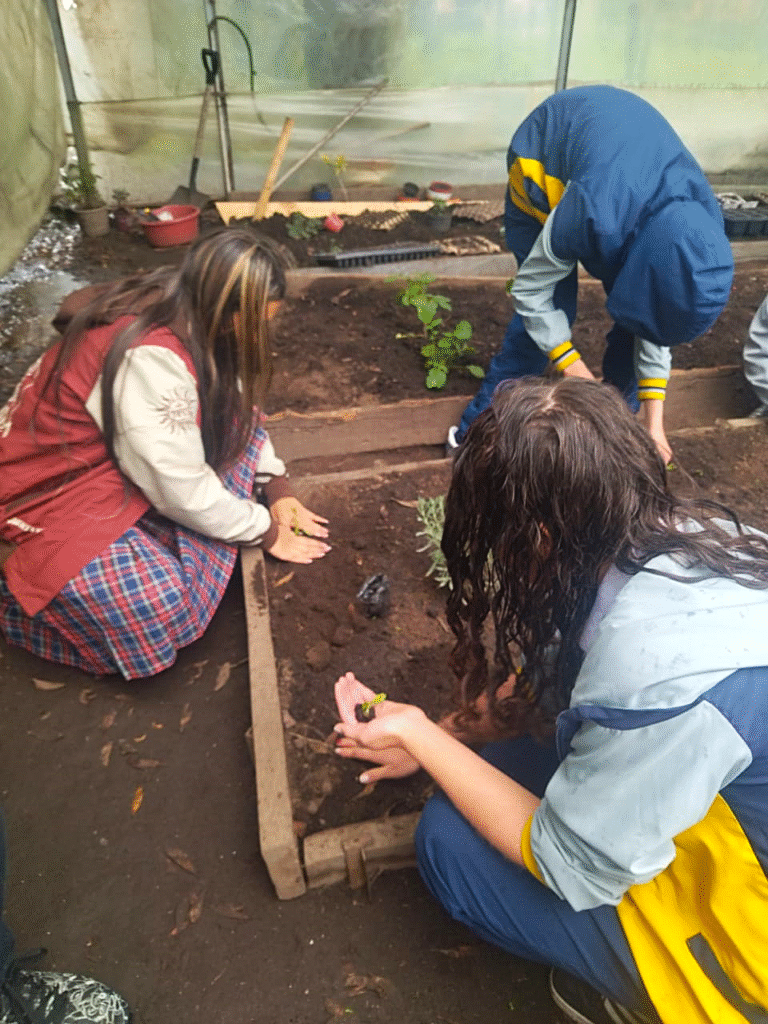 Capacitación con el Jardín Botánico fortalece el compromiso ambiental